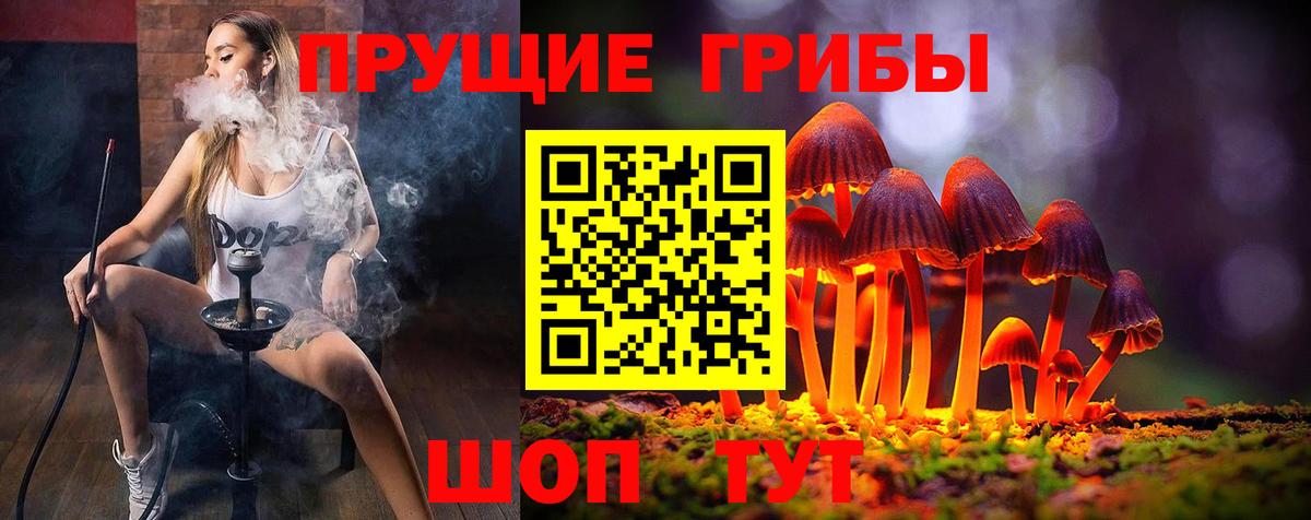 Галлюциногенные грибы ЛСД Новочебоксарск