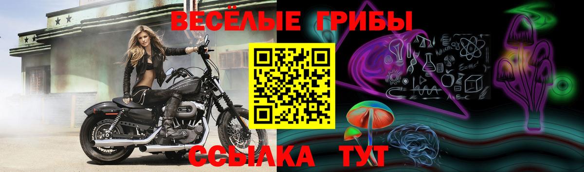 Новочебоксарск  Псилоцибиновые грибы мицелий  Вход с VPN 